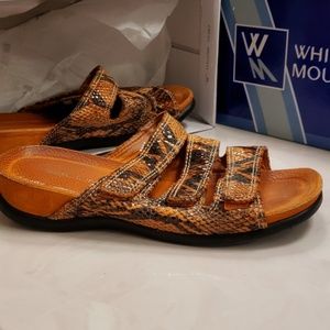 Bellini shoes